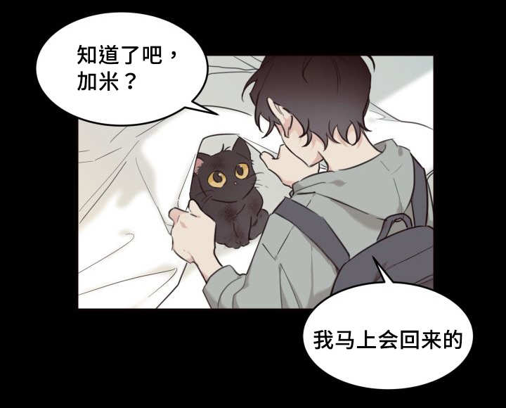 猫的项圈第24话图