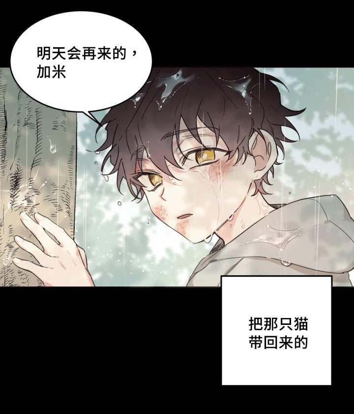 猫的项圈第25话图
