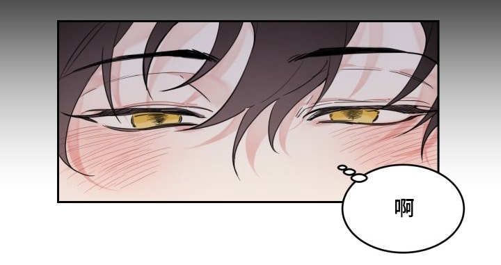 猫的项圈第25话图