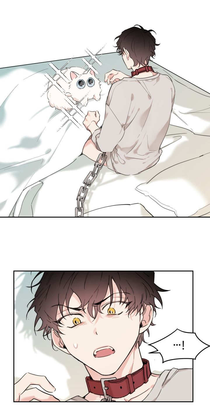 猫的项圈第25话图