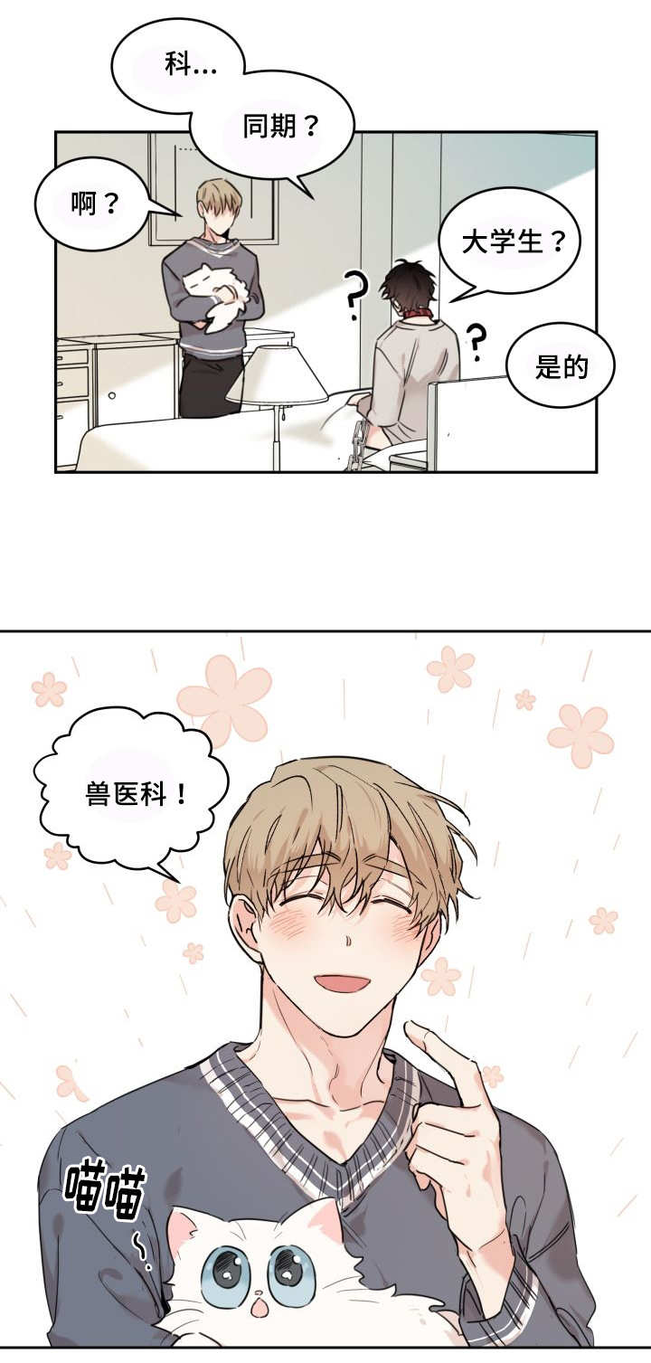 猫的项圈第25话图