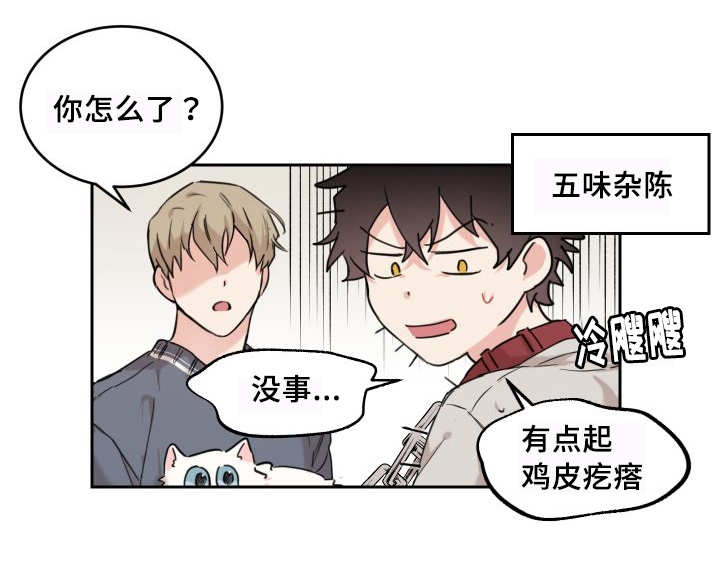 猫的项圈第25话图