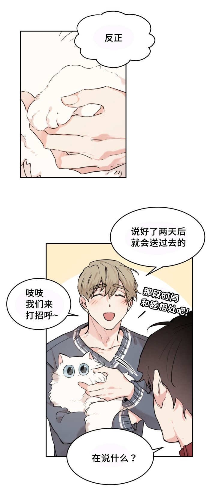 猫的项圈第25话图