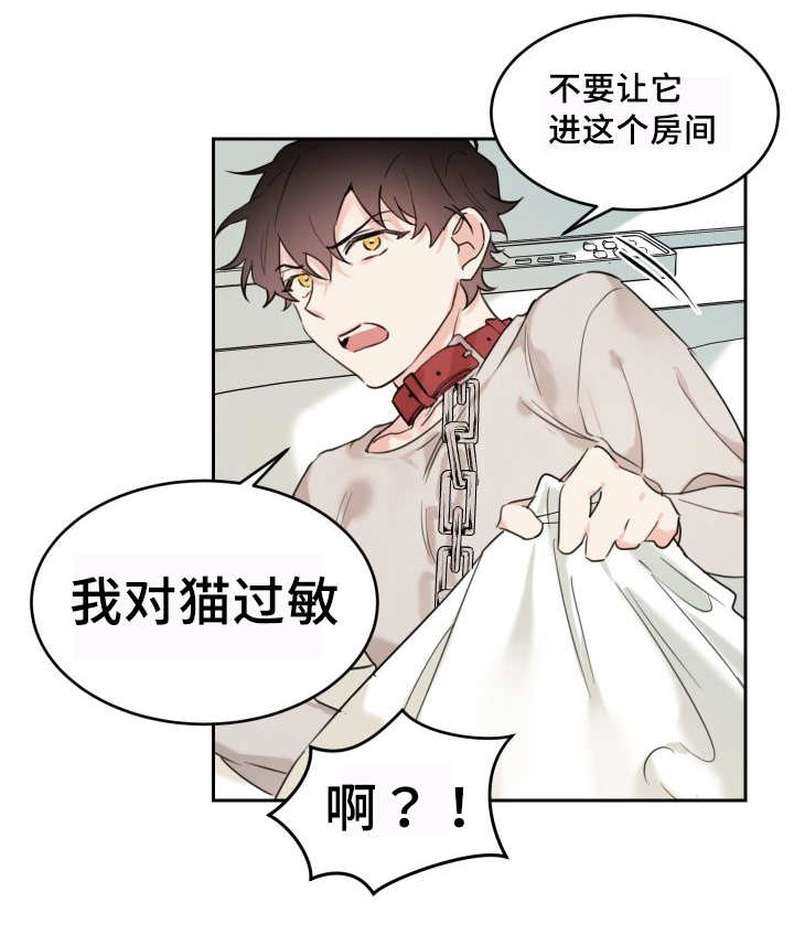 猫的项圈第25话图