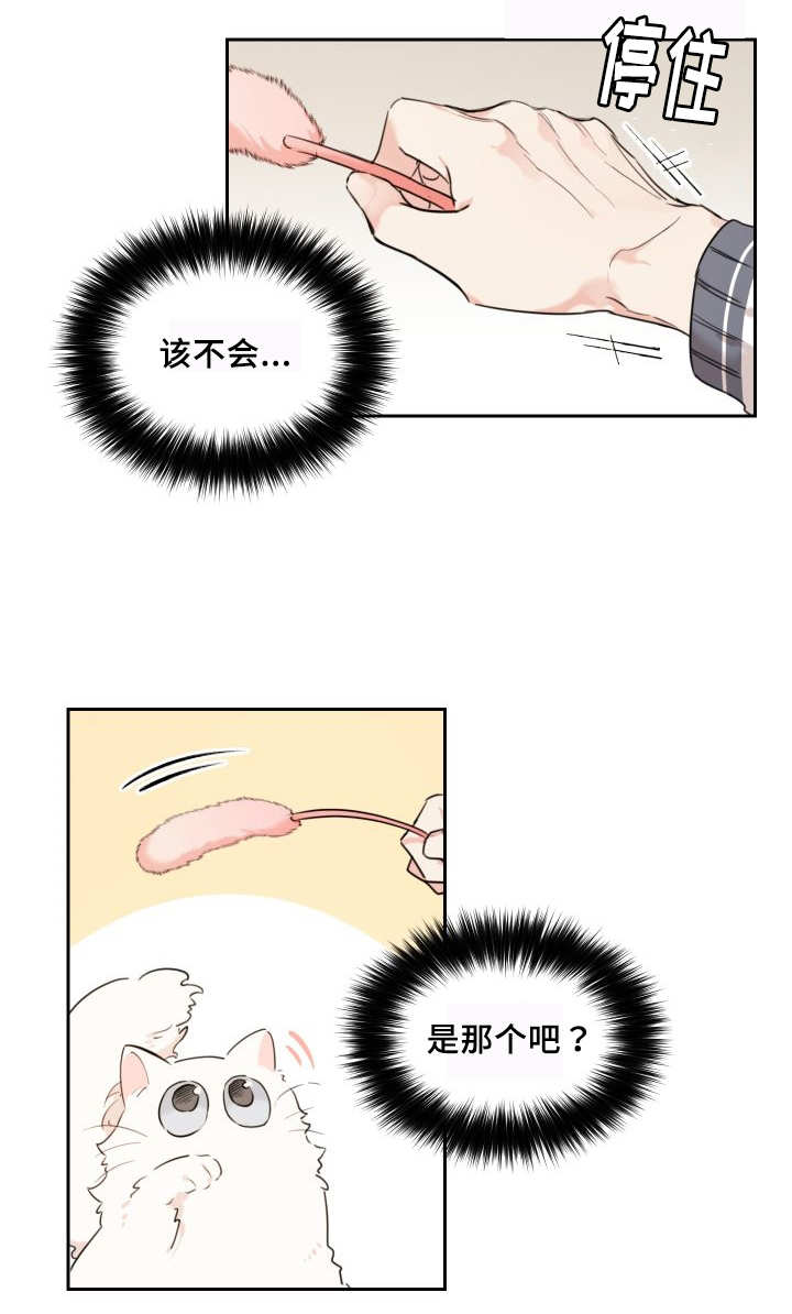 猫的项圈第25话图