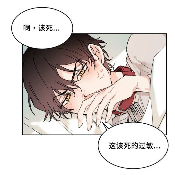 猫的项圈第26话图