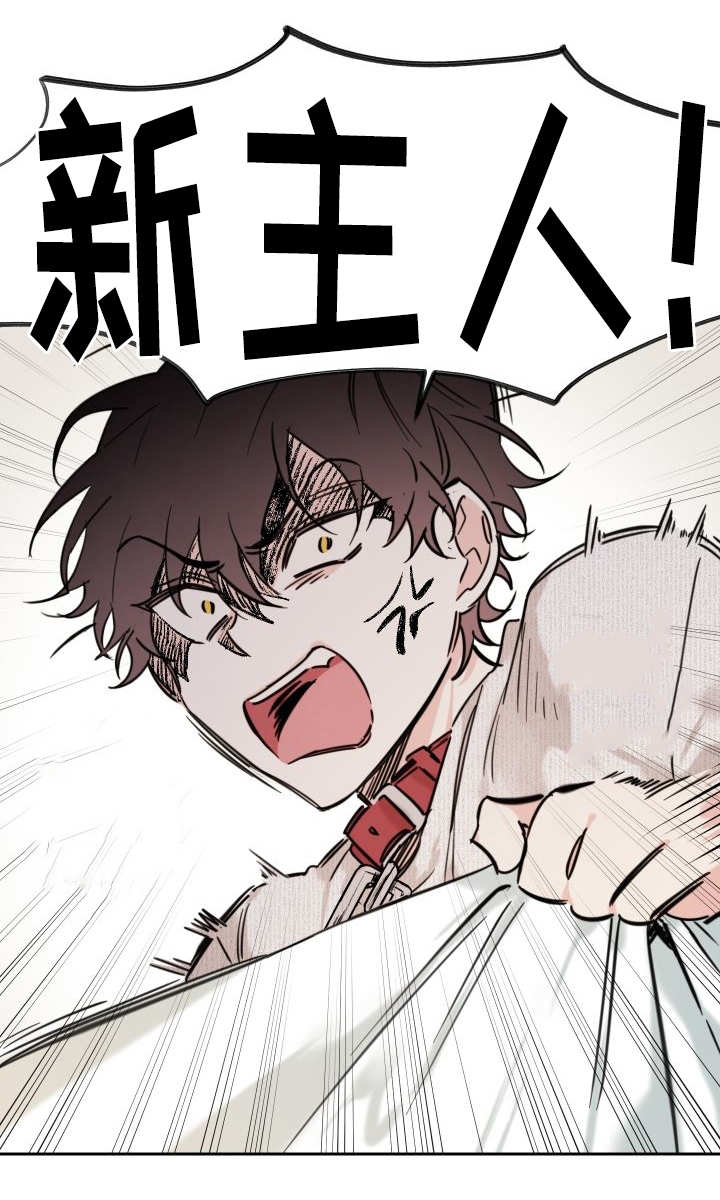 猫的项圈第26话图