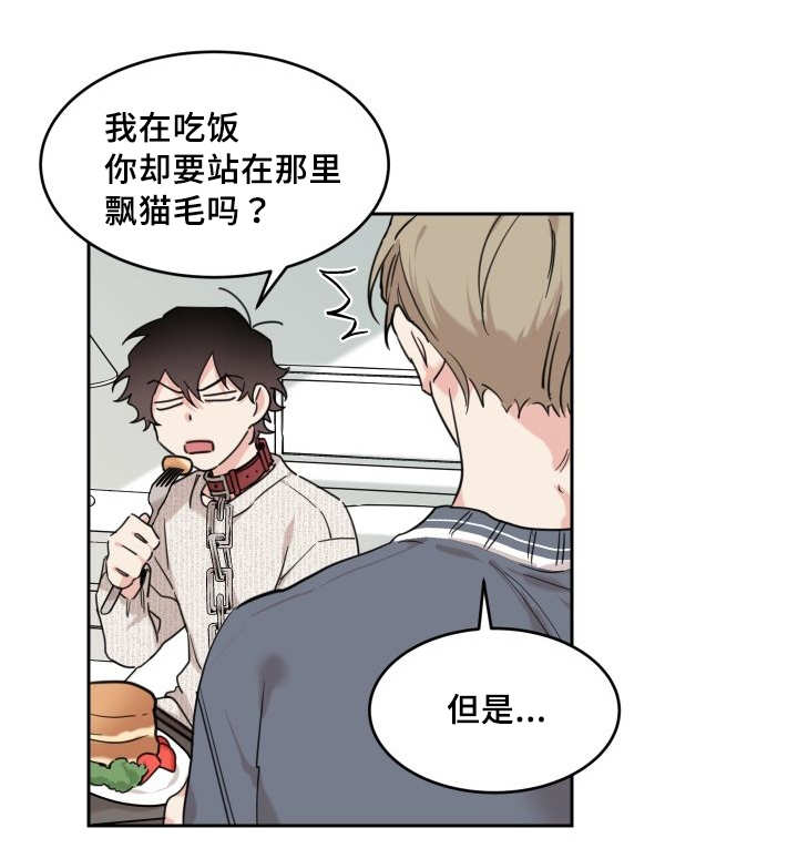 猫的项圈第26话图