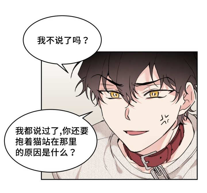 猫的项圈第26话图
