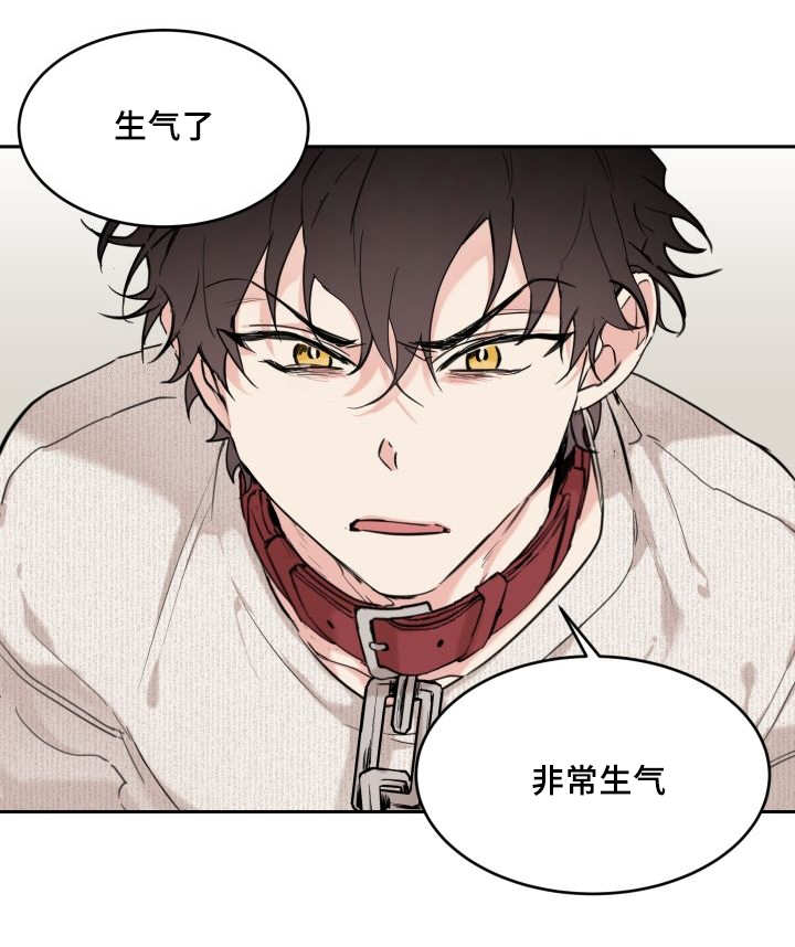 猫的项圈第26话图