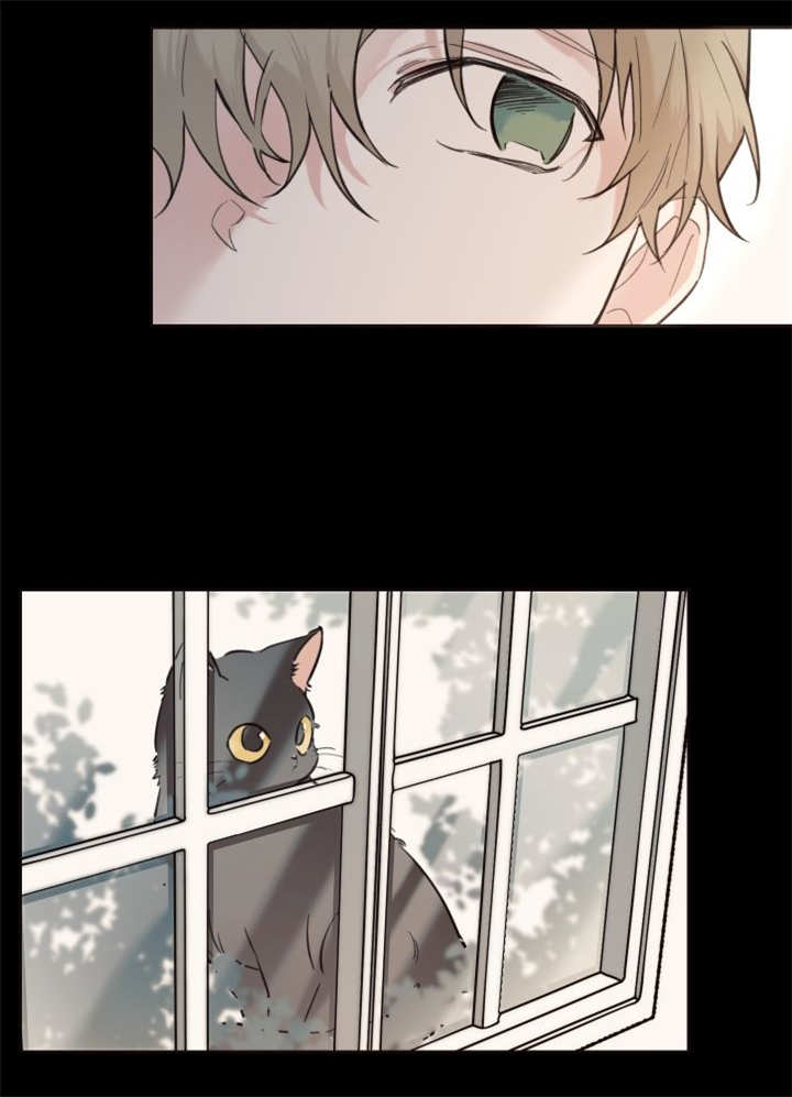 猫的项圈第26话图