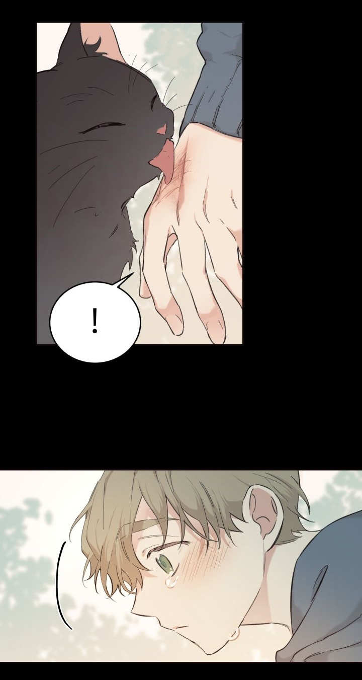 猫的项圈第26话图