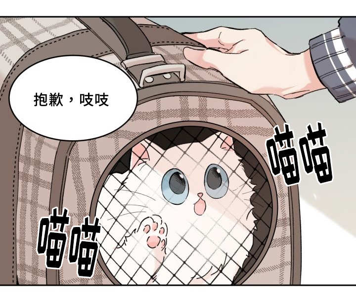 猫的项圈第27话图