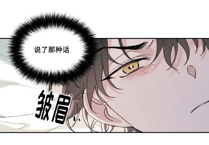 猫的项圈第28话图