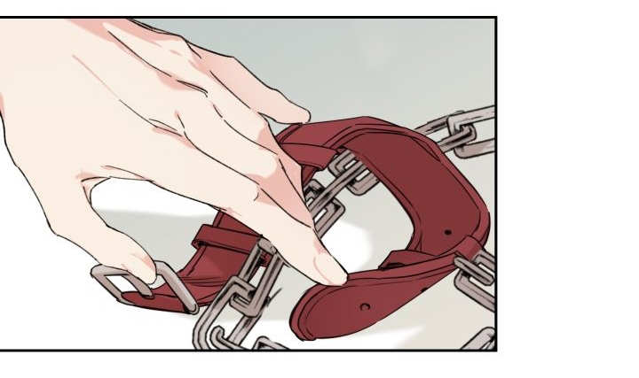 猫的项圈第28话图