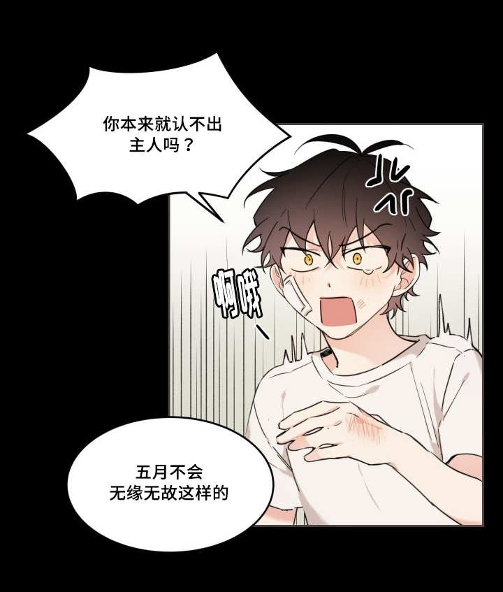 猫的项圈第28话图