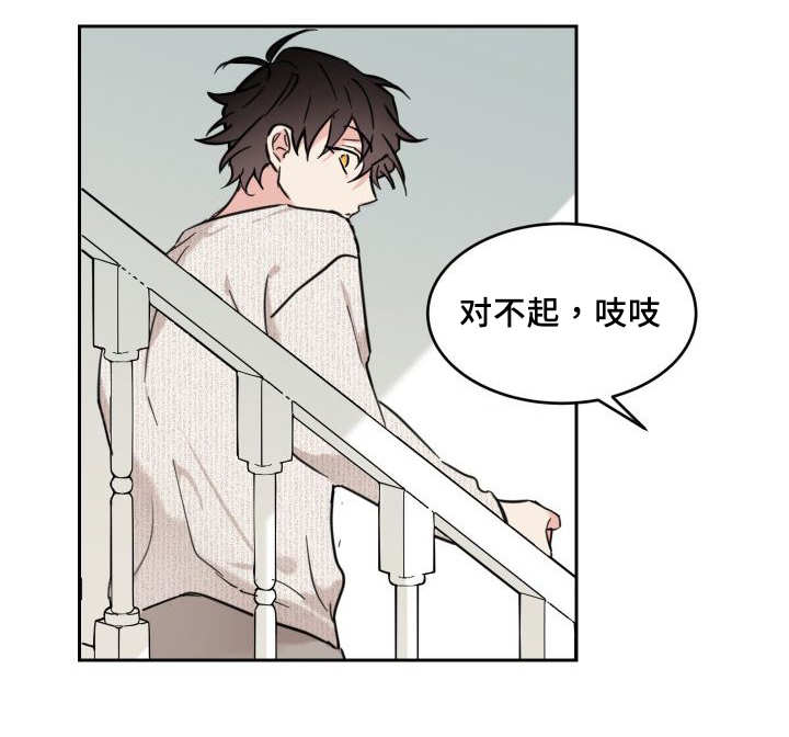 猫的项圈第28话图