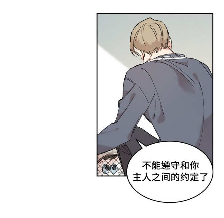 猫的项圈第28话图