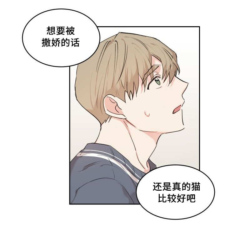 猫的项圈第28话图
