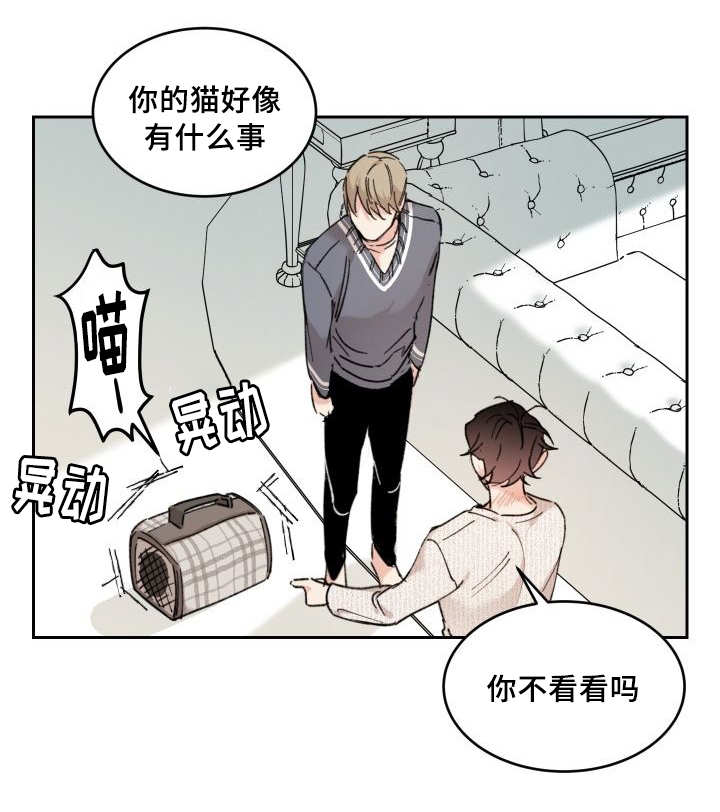 猫的项圈第28话图
