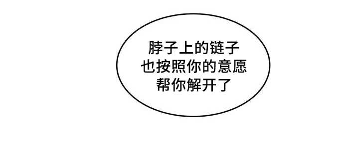 猫的项圈第29话图