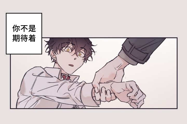 猫的项圈第29话图