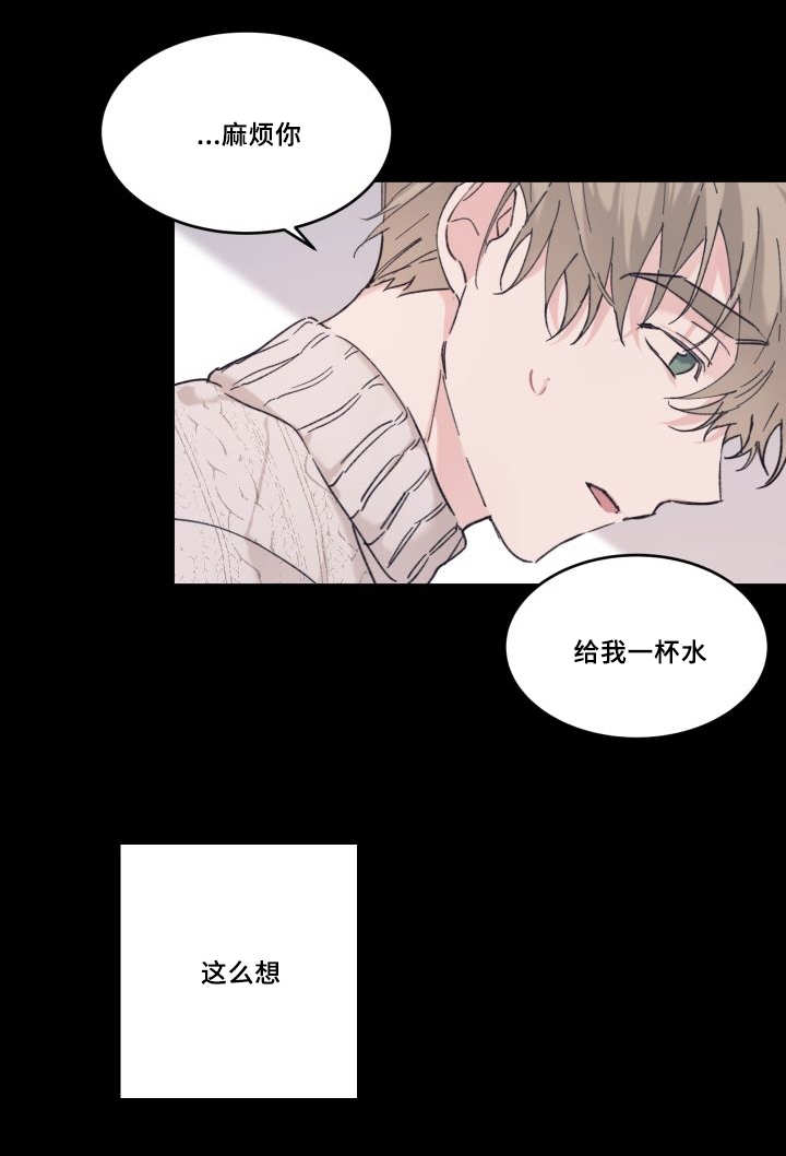 猫的项圈第30话图