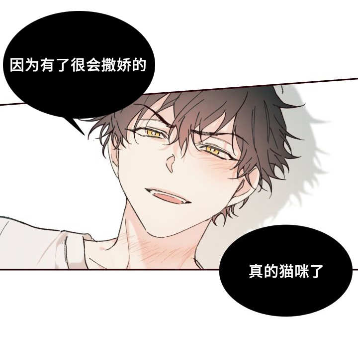 猫的项圈第31话图