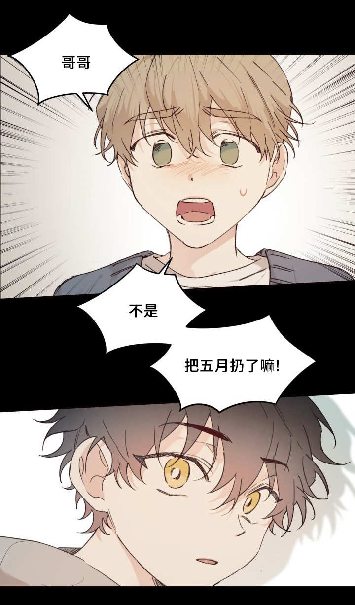 猫的项圈第31话图