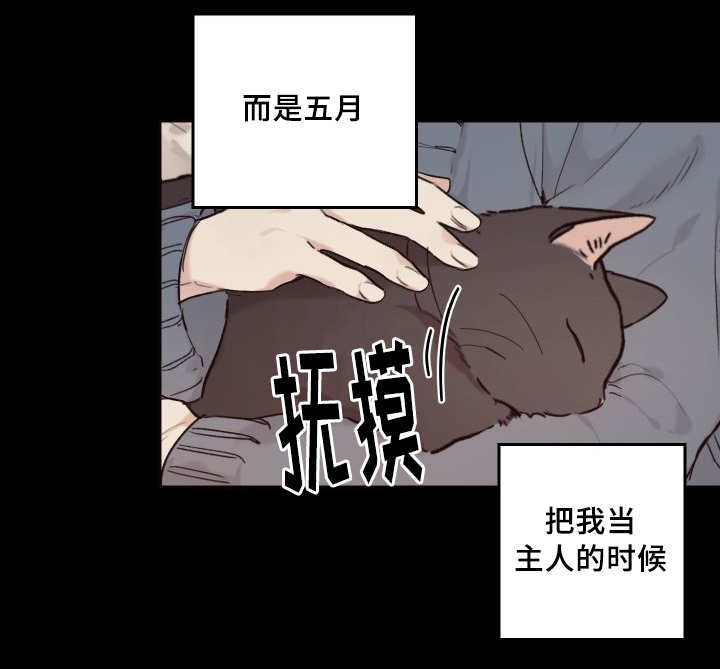 猫的项圈第32话图