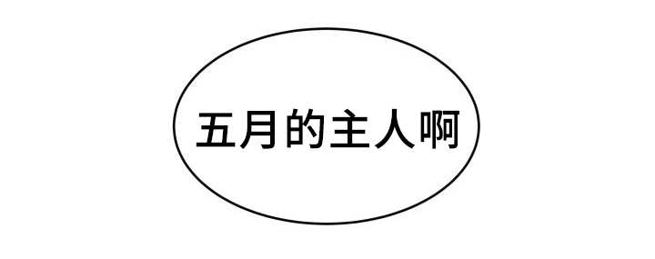 猫的项圈第32话图