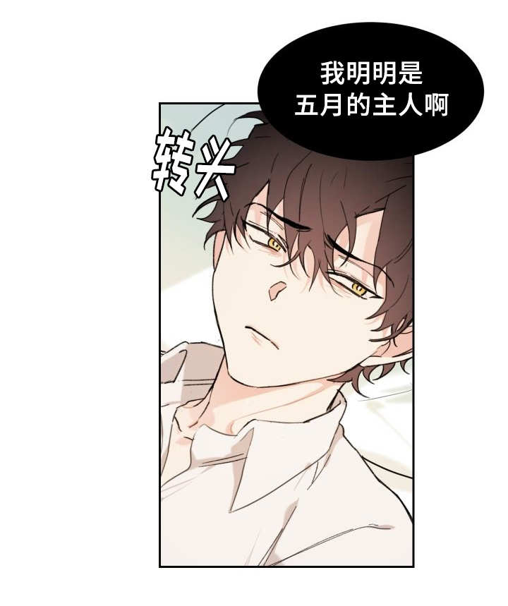猫的项圈第32话图