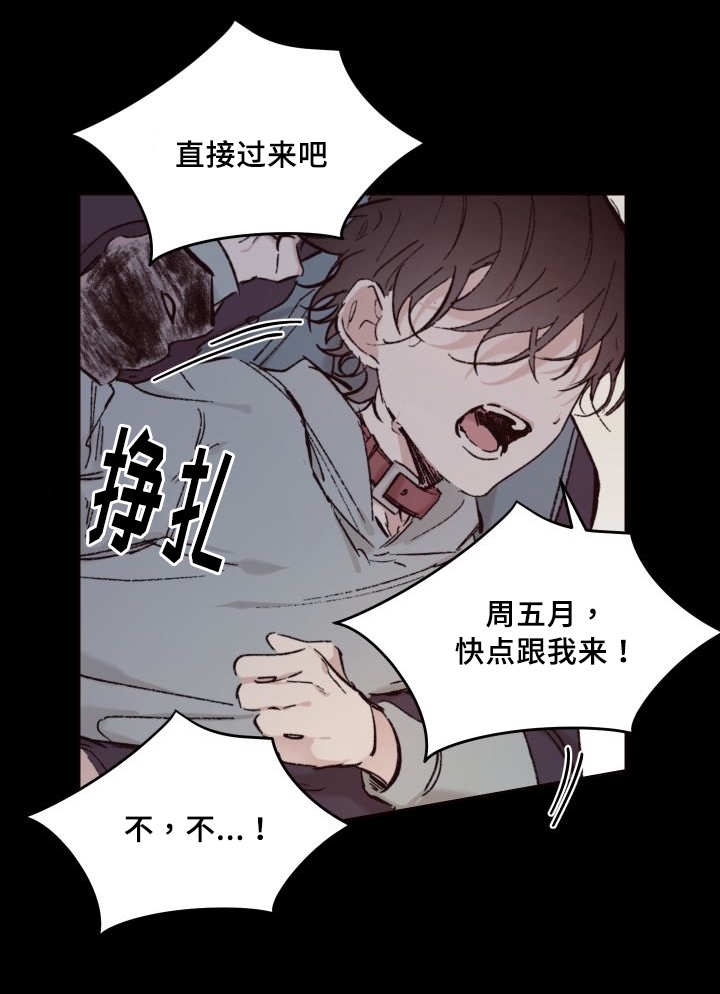 猫的项圈第32话图