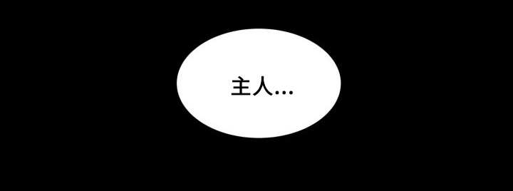 猫的项圈第32话图