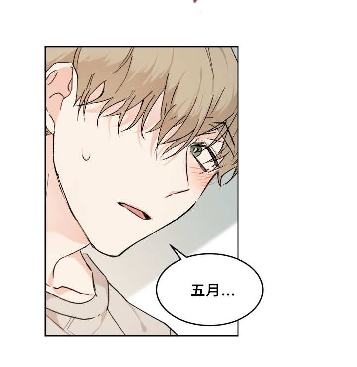 猫的项圈第32话图