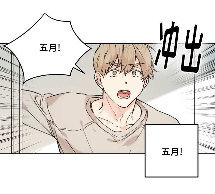 猫的项圈第32话图