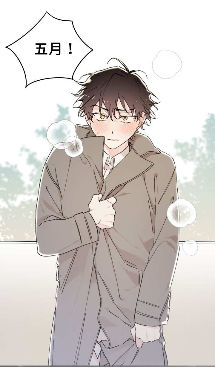 猫的项圈第33话图