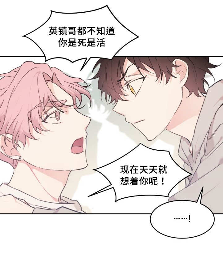 猫的项圈第33话图