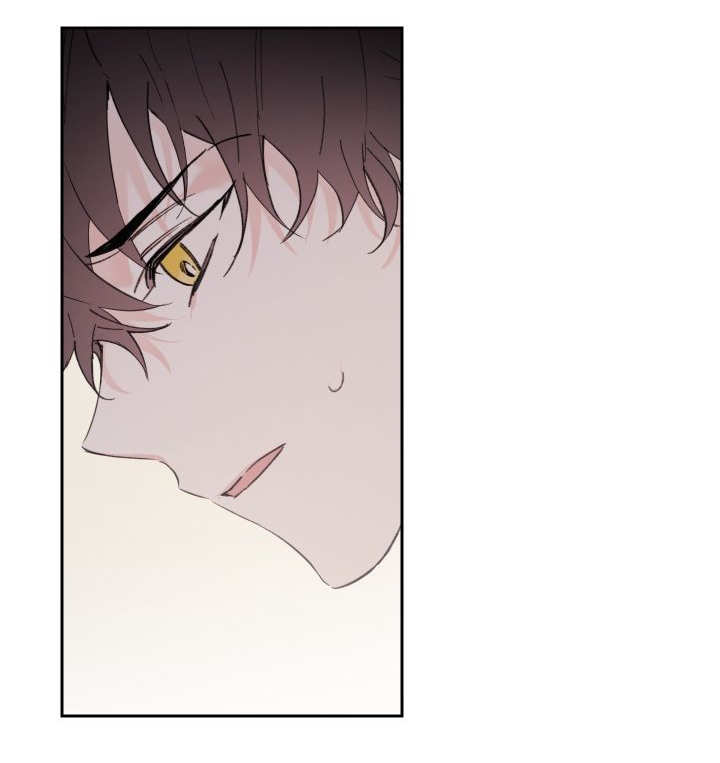 猫的项圈第34话图