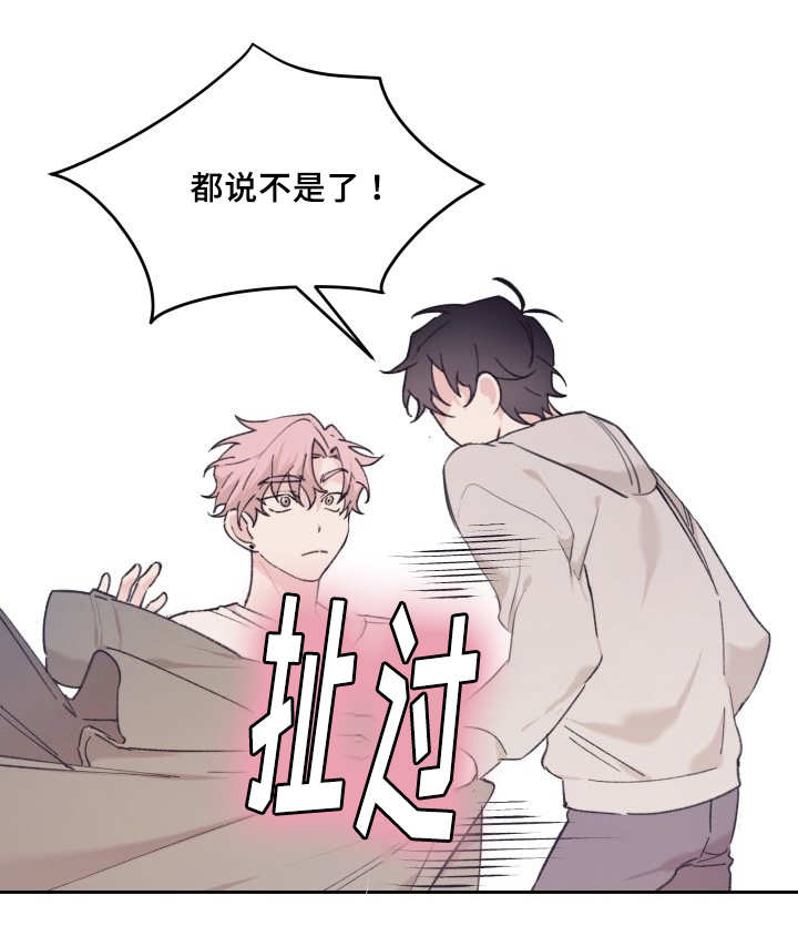 猫的项圈第34话图