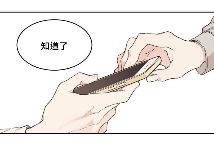 猫的项圈第34话图