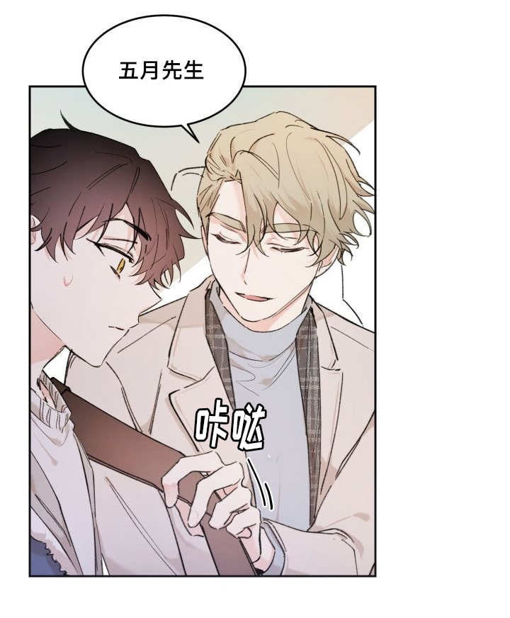 猫的项圈第38话图