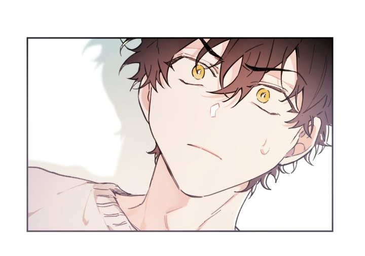 猫的项圈第40话图