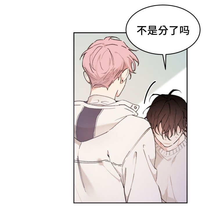 猫的项圈第41话图