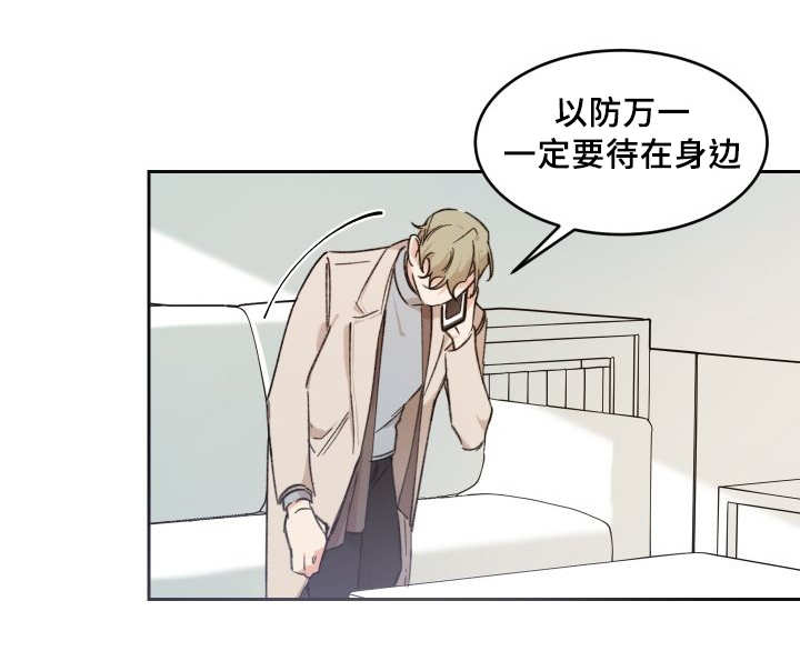 猫的项圈第41话图