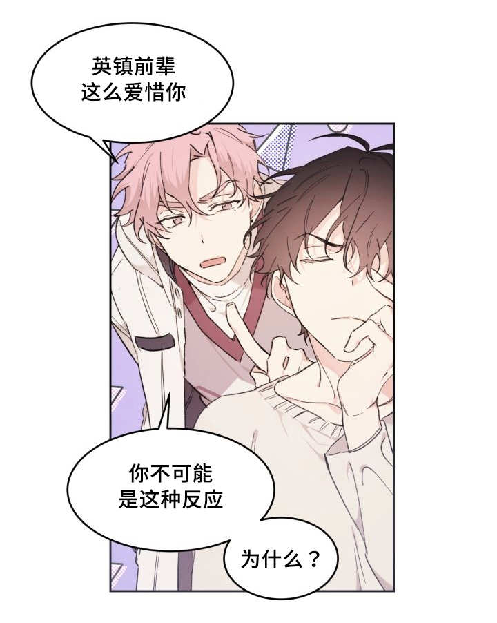 猫的项圈第41话图