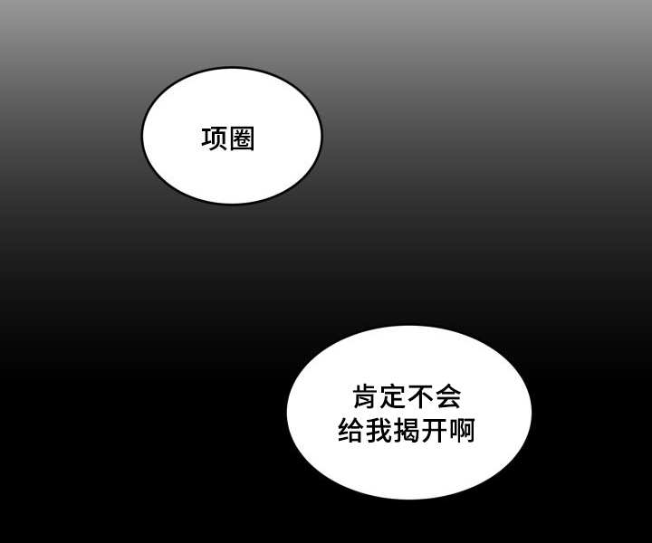 猫的项圈第41话图