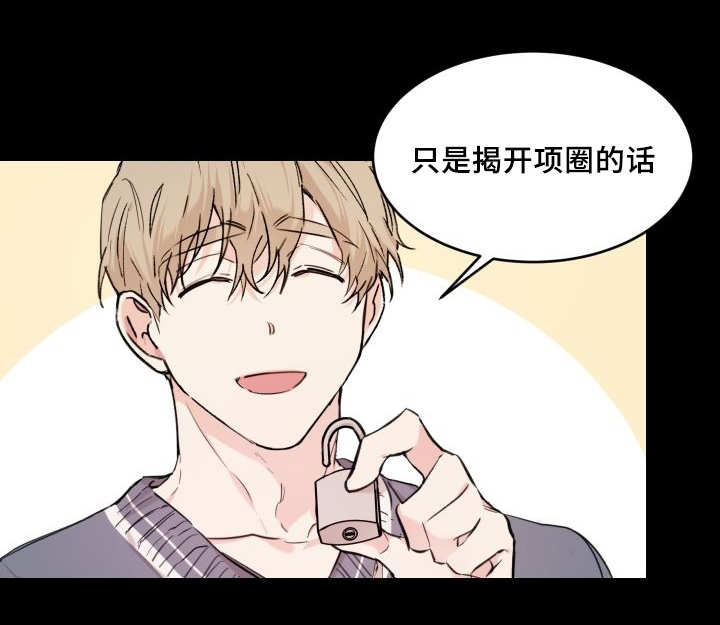 猫的项圈第41话图