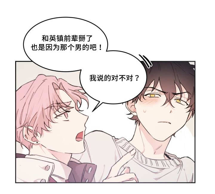 猫的项圈第42话图