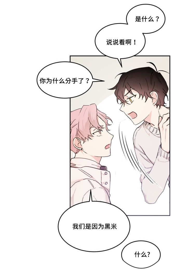 猫的项圈第42话图